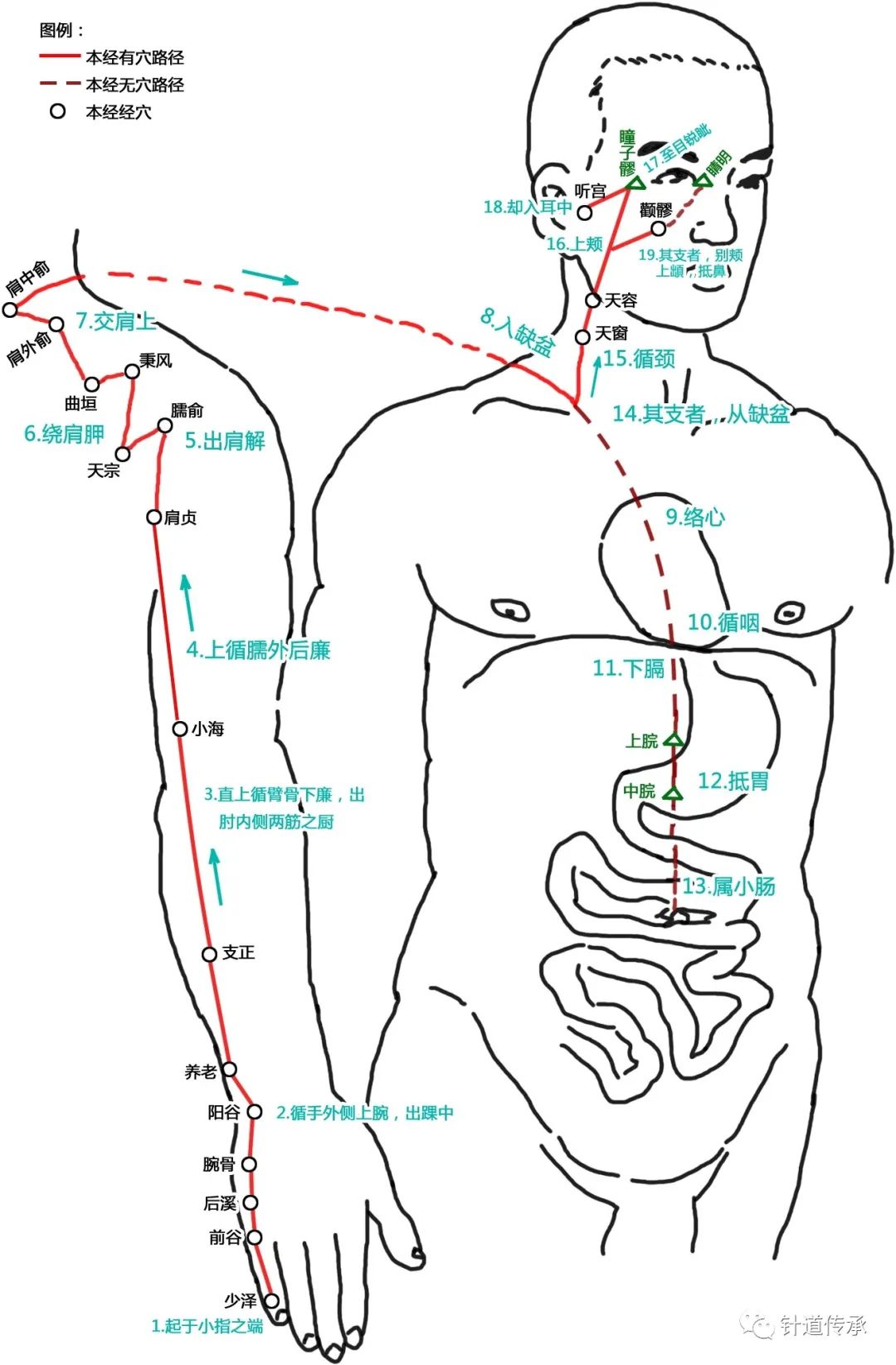 十二经脉穴位很容易记,十二经脉的易堵点