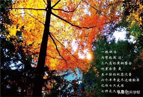 成都七中最著名校长,成都七中历任校长有哪些