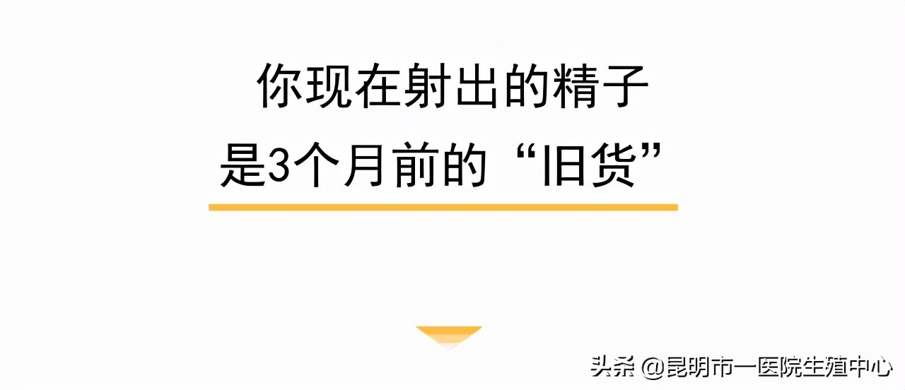 你现在用的精子，是3个月前的