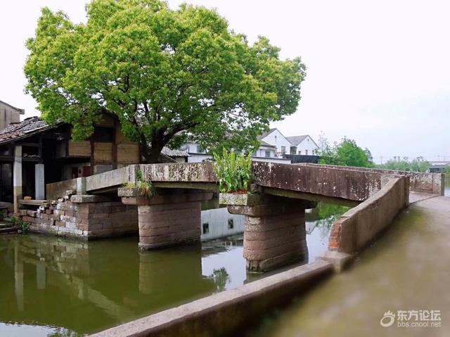 鄞西有一个如画的村庄，这桥很有来头...