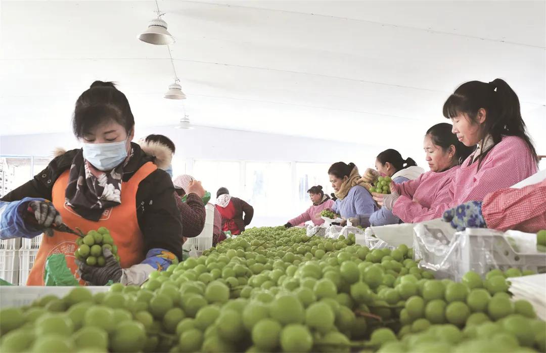 烟台开发区发展简介,烟台开发区发展目标