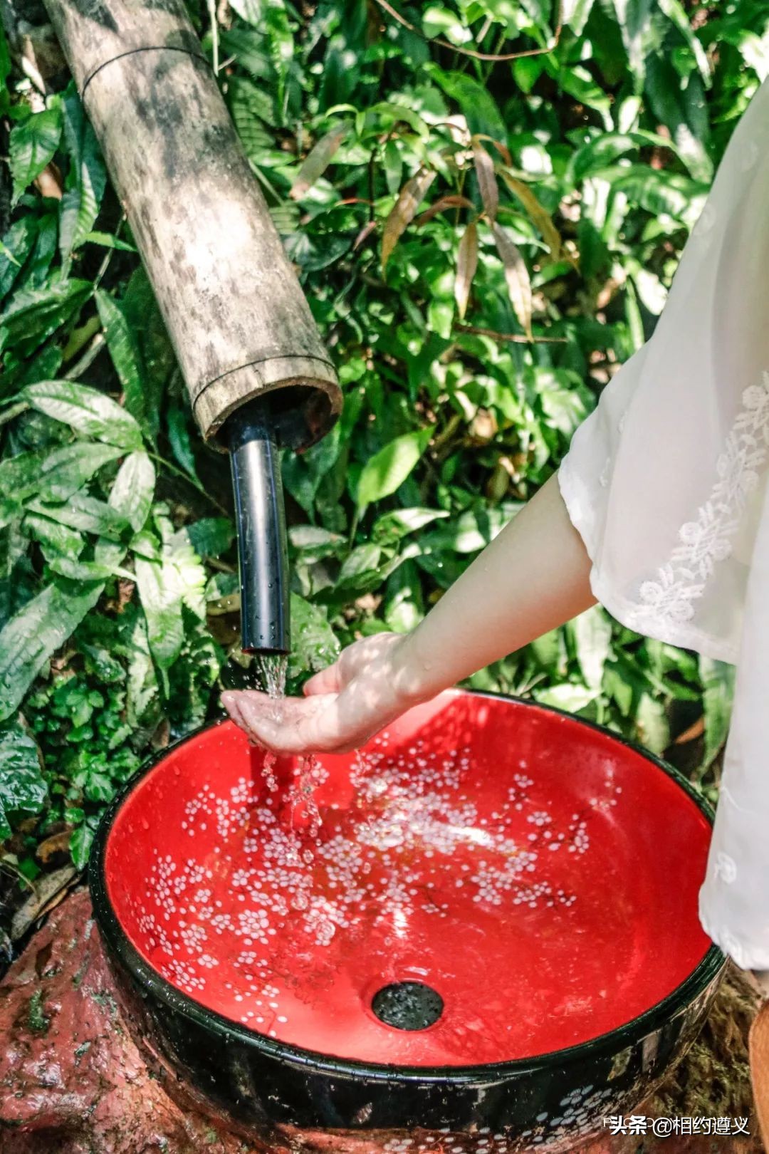 赤水大瀑布 侏罗纪公园 (贵州赤水侏罗纪公园攻略)