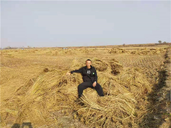 五常市浩文水稻种植专业合作社,五常市泰润水稻种植专业合作社