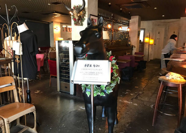 东京涩谷哪个餐厅看夜景,夜猫子必追的一部剧