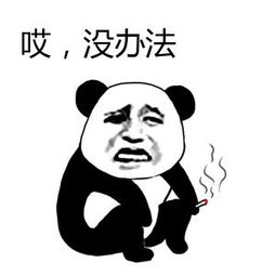 微信小程序100个必知点,微信小程序从零开始做教程