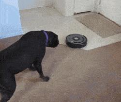 灵魂拷问令人深思的问题,灵魂拷问诗句