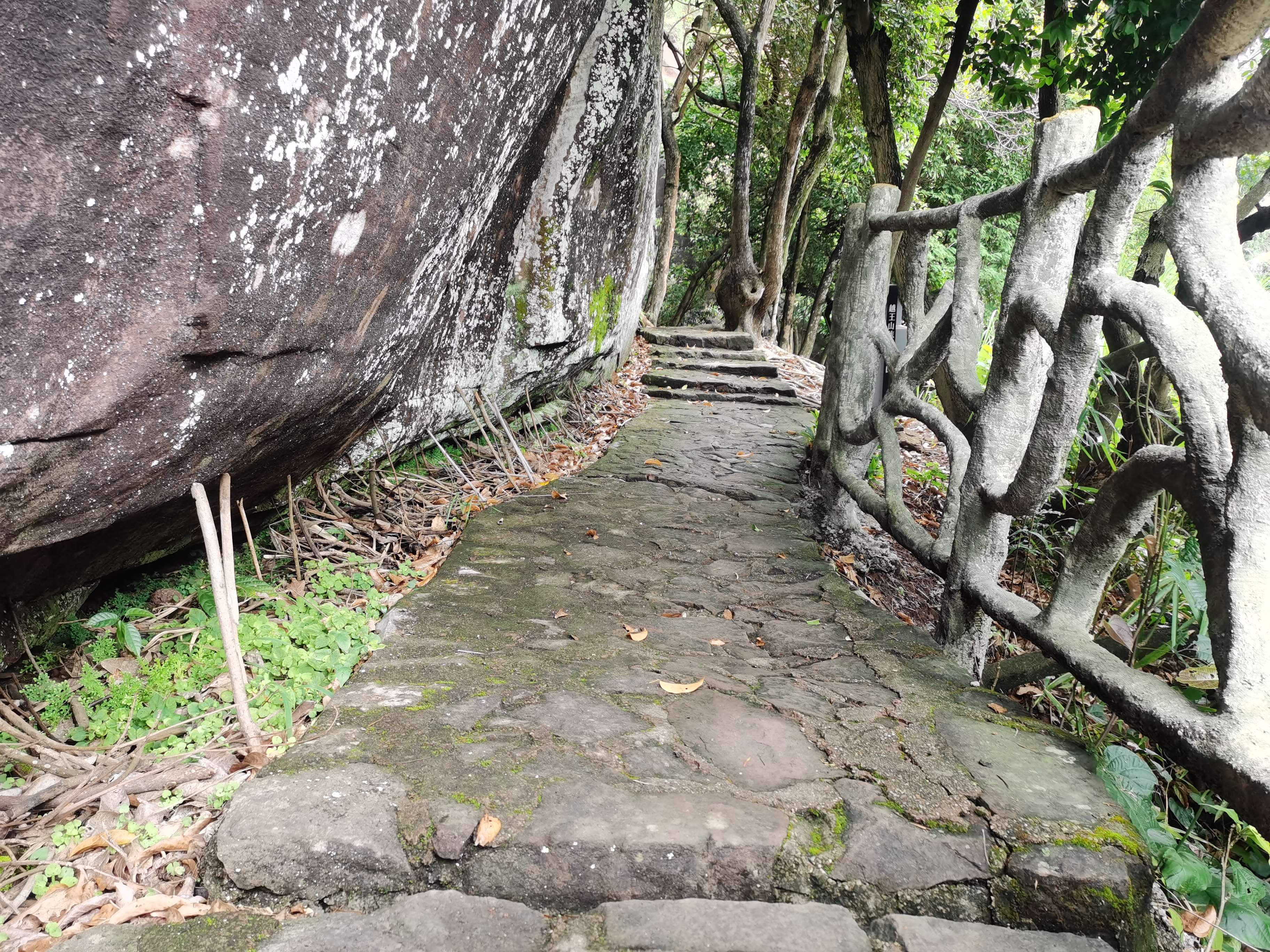 叮当猫还玩81式吗,叮当猫还玩率土之滨吗