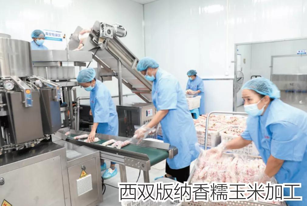 2018云南各地州招商引资,云南16州市如何招商引资