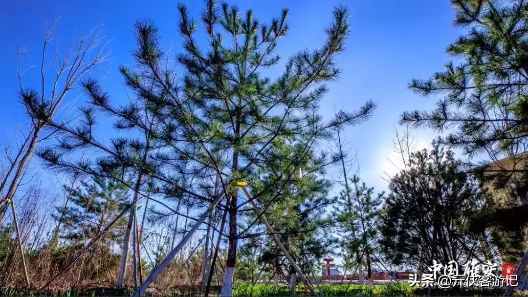 去雄安必须去的几个地方,雄安可以游览的地方