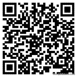 南京燕雀湖水杉林,南京秋天水杉林