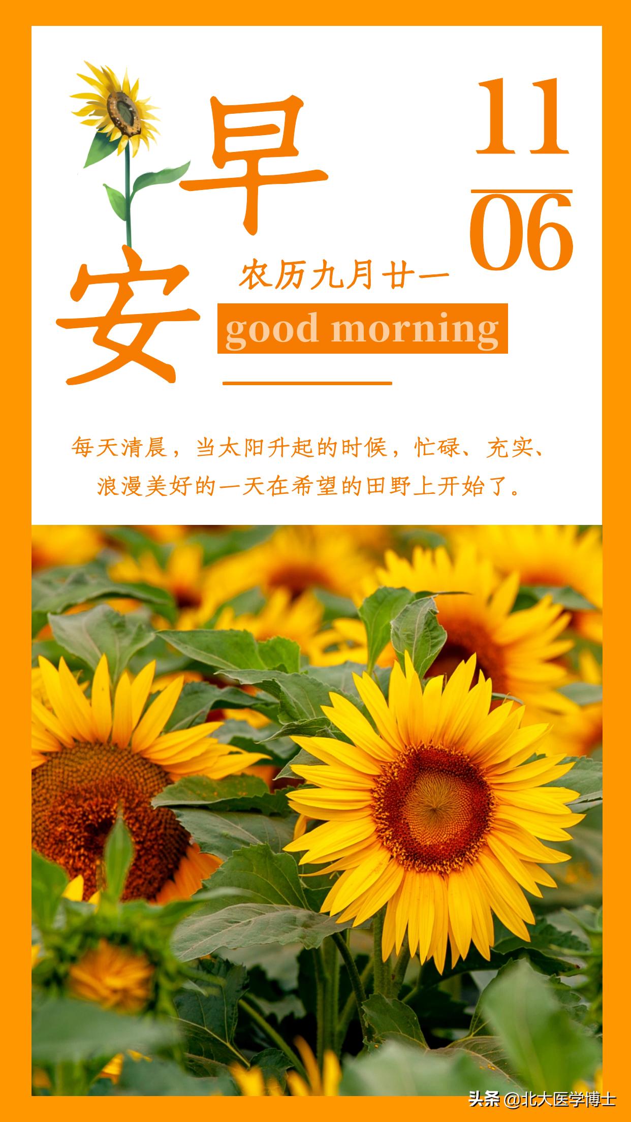 大姨妈推迟中药调理方法,调理大姨妈量少的中药多久见效