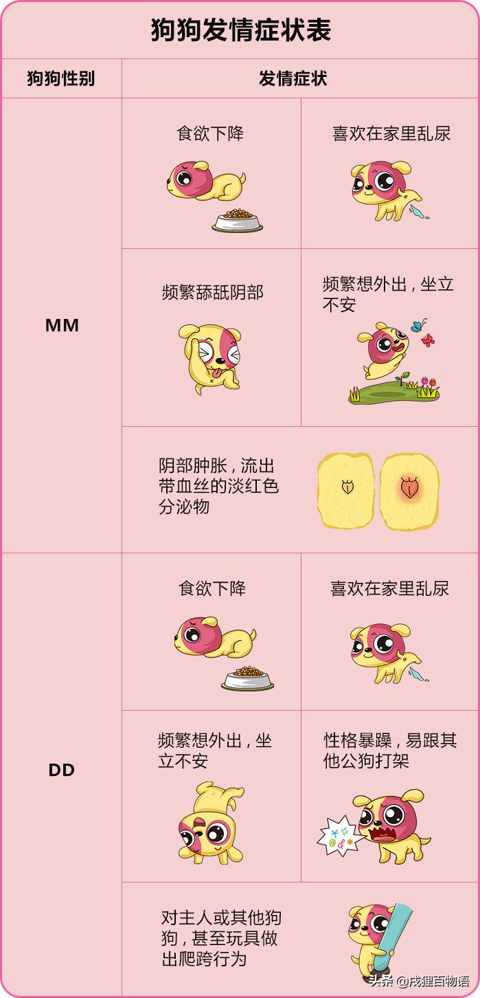 哎呀！狗狗发情了怎么办？