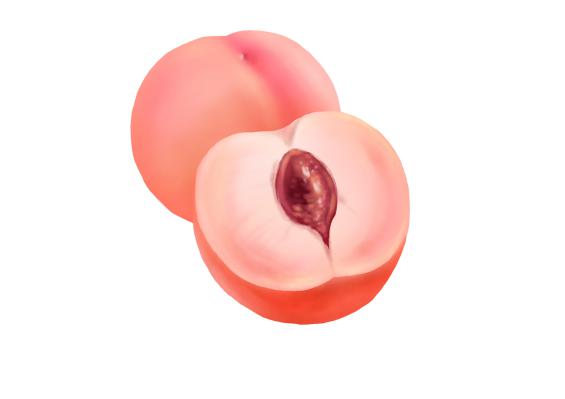 用铅笔画立体水果教学,新手绘画教学ipad画世界