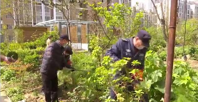 和谐佳苑小区最新消息,和谐佳苑拆迁