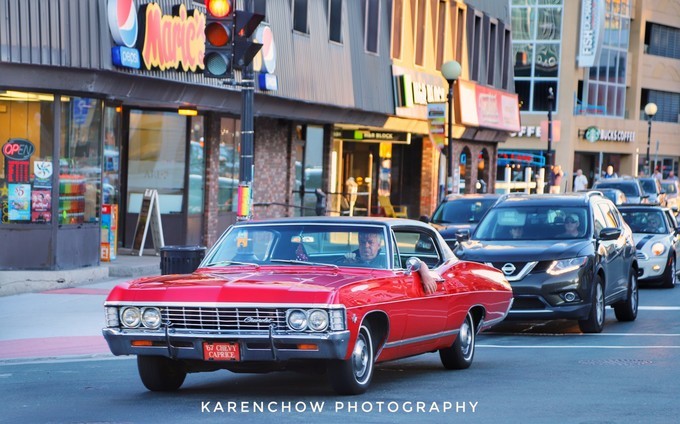 加拿大小众旅游目的地,加拿大纽芬兰自驾旅游