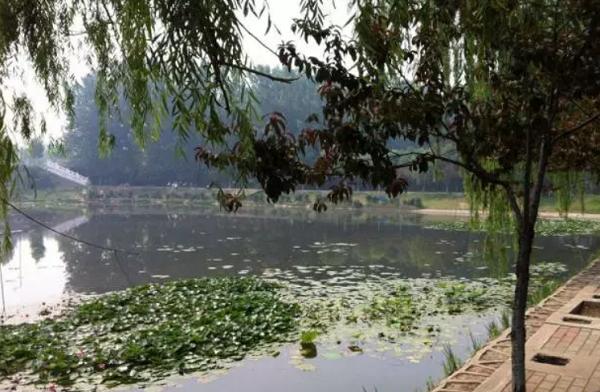 重庆主城周边农家乐推荐,重庆主城性价比高的农家乐及价格