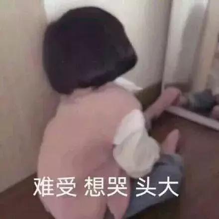 养仓第1步:如何挑选一只健康的仓鼠