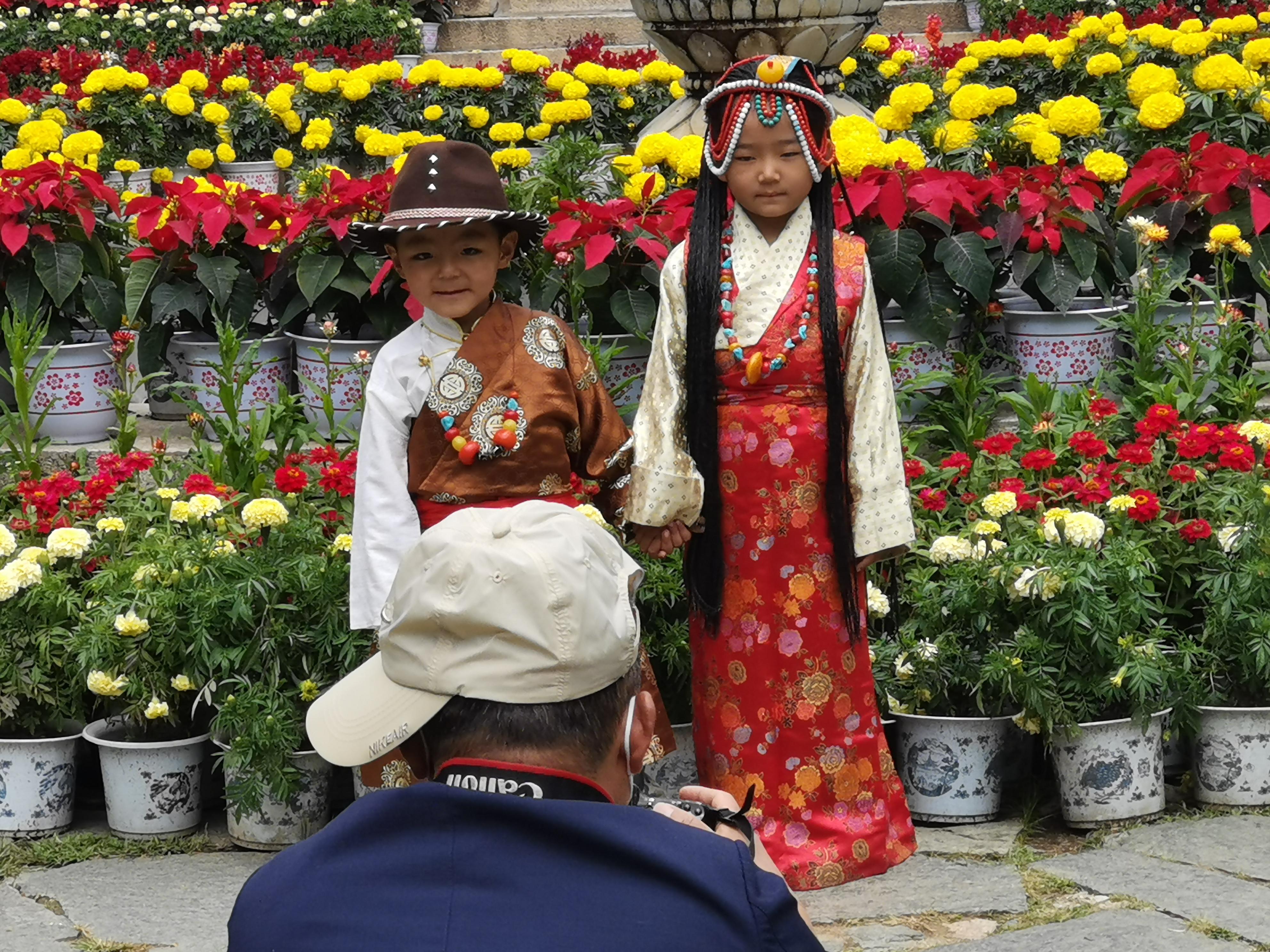 西藏拉萨这个城市好吗,拉萨市区是什么样的地方