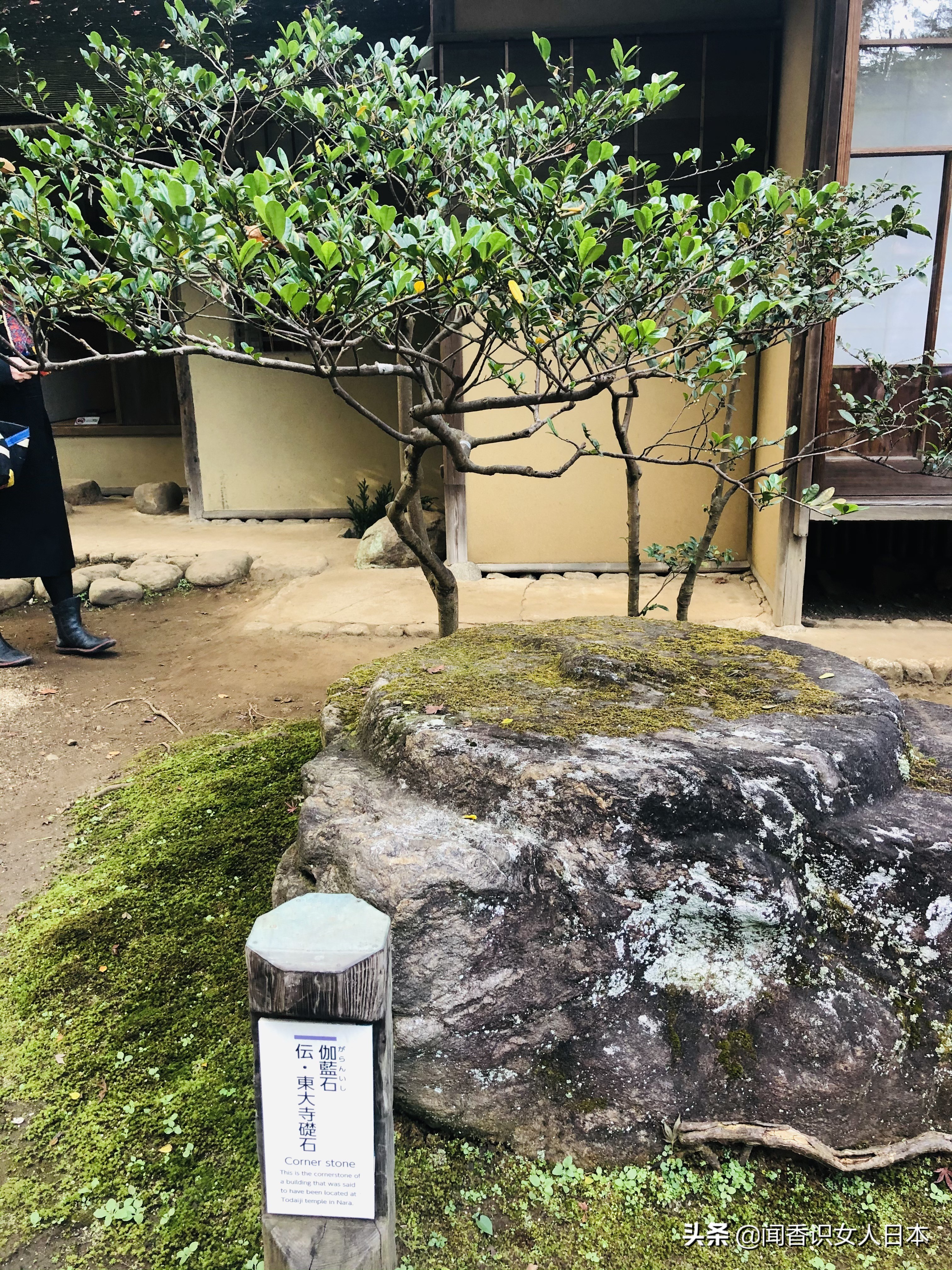 横滨三溪园,横滨三溪园介绍