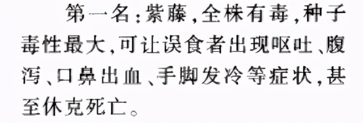 什么蜜源蜜蜂最好养,养蜜蜂的蜂洞哪种比较好