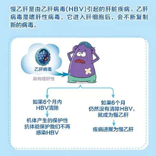 乙肝加胃病一起怎么治,慢乙肝和肝硬化的区别是什么