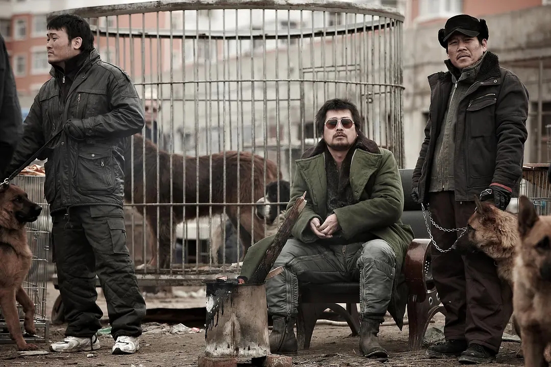 必看的十部电影游荡的荷尔蒙,欧美老电影推荐荷尔蒙