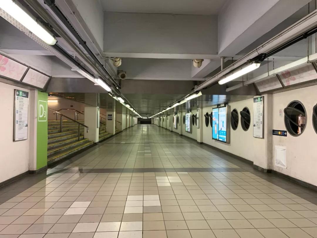 香港红馆演唱会安静,香港红馆怀念张国荣演唱会