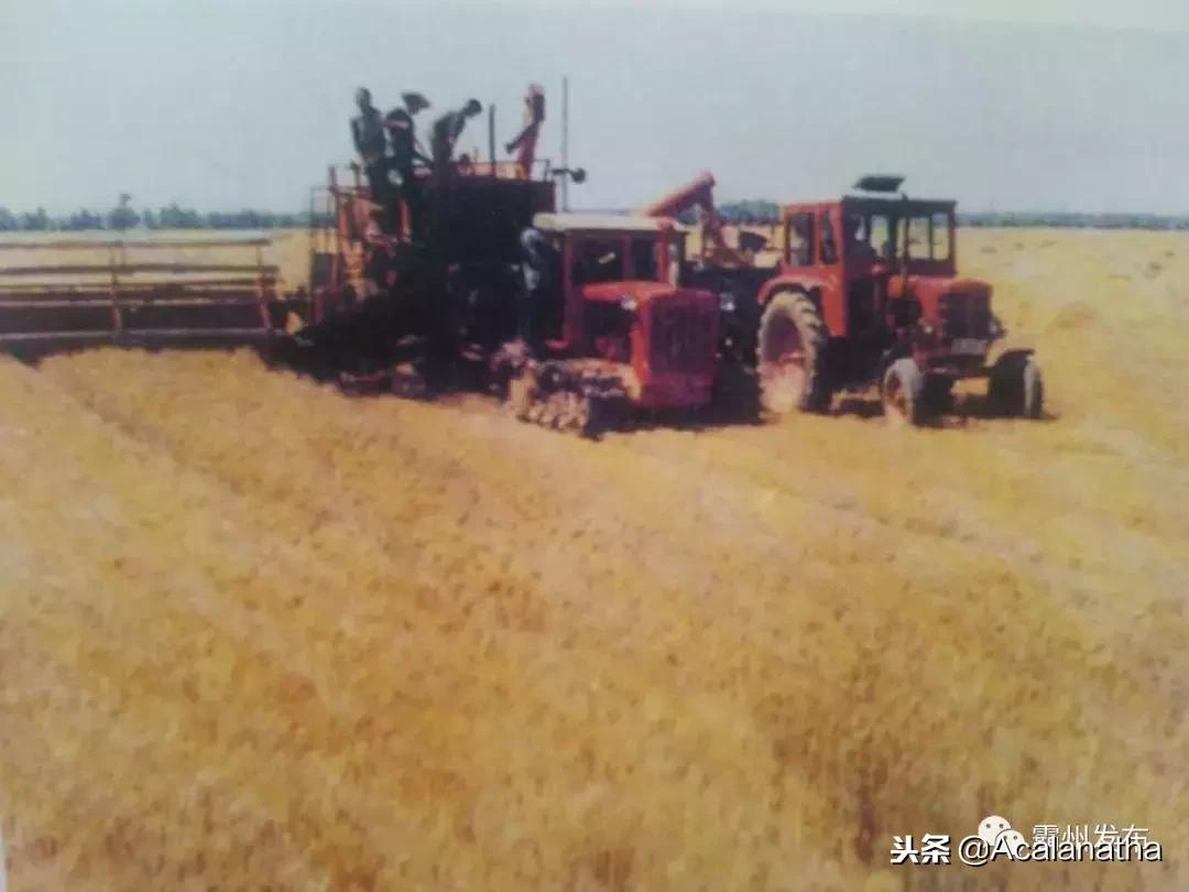 霸州土产公司老照片,霸州老城区图片