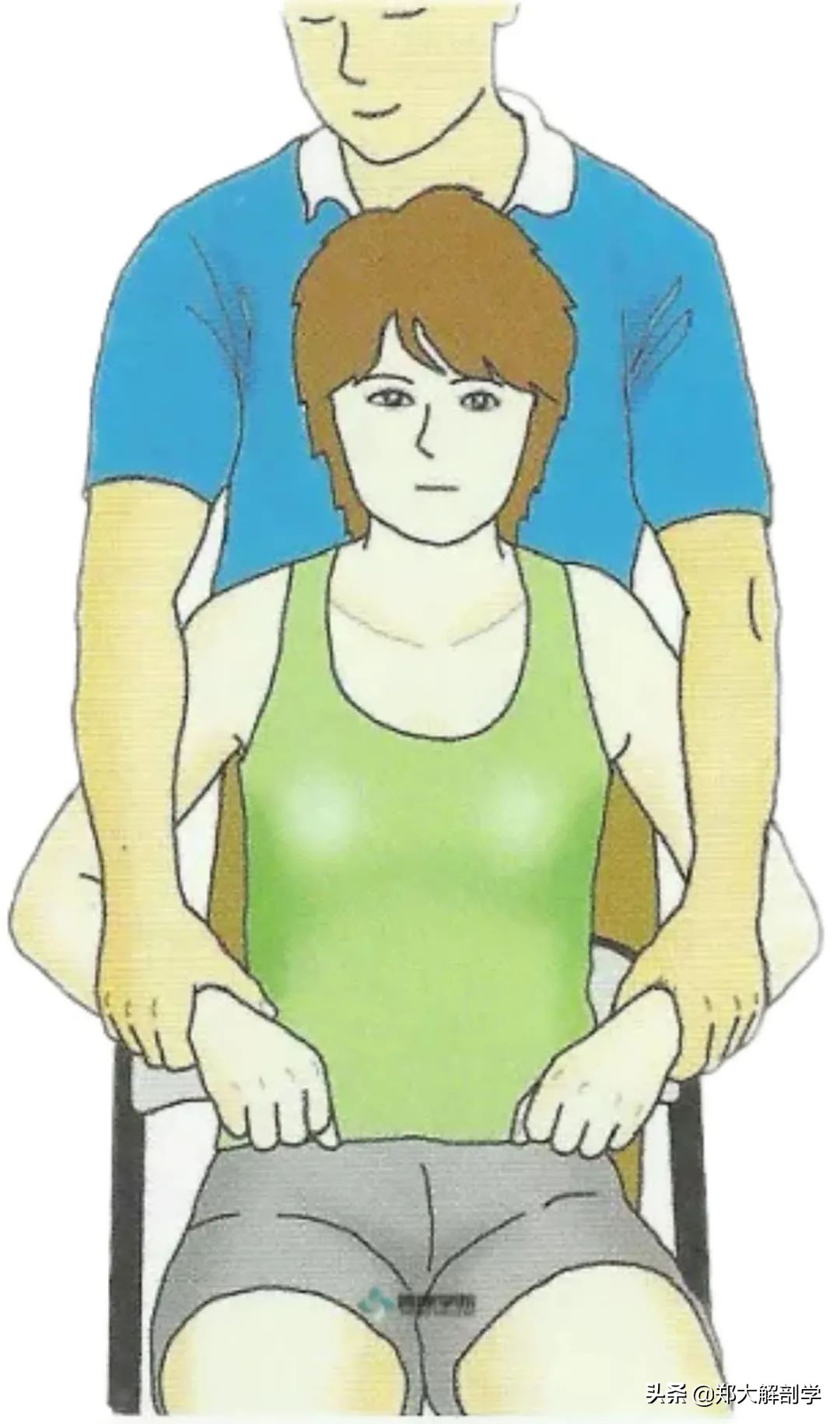 肩关节水平屈可以锻炼胸大肌吗,肩关节运动锻炼胸大肌