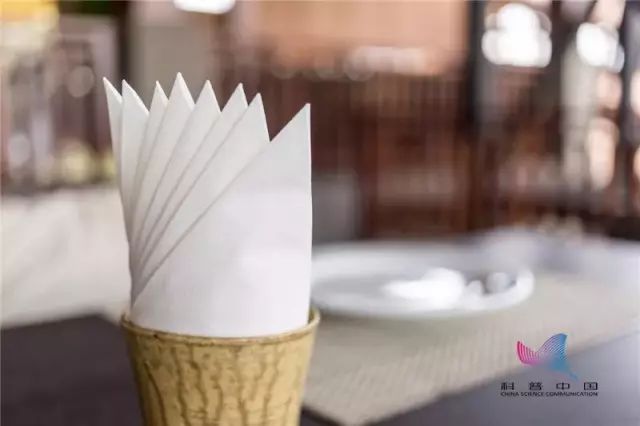 卫生纸可以用来擦嘴吗,卫生纸可以直接擦嘴吗