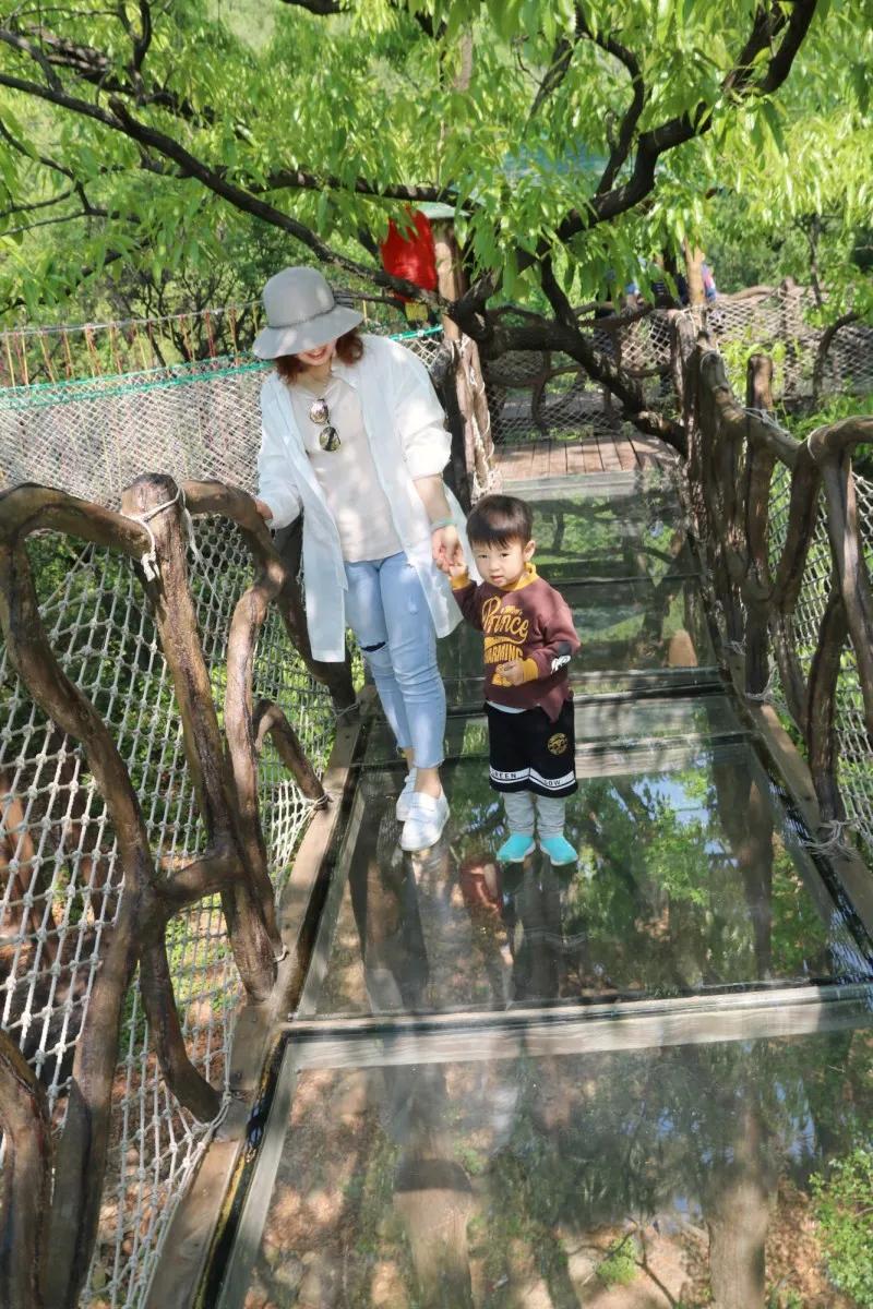 抱犊寨高考生优惠,中考生免费福利