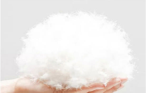 买羽绒服没标多少绒量是真的假的,买羽绒服不摘吊牌