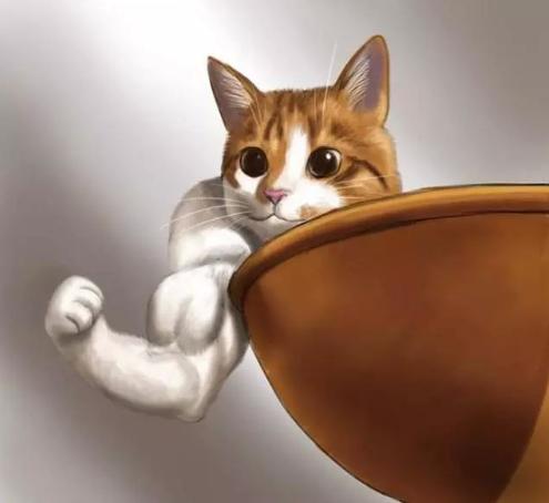 日本博主把动物拟人化,把动物变成动漫人物的画