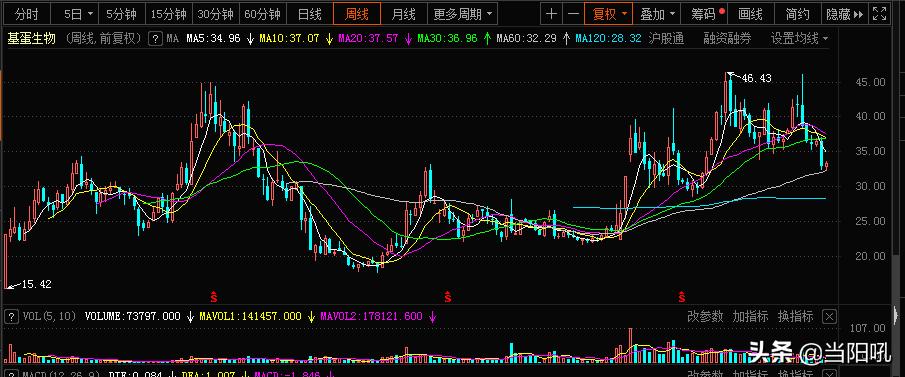 603387基蛋生物走势分析,2024年基蛋生物分红公告