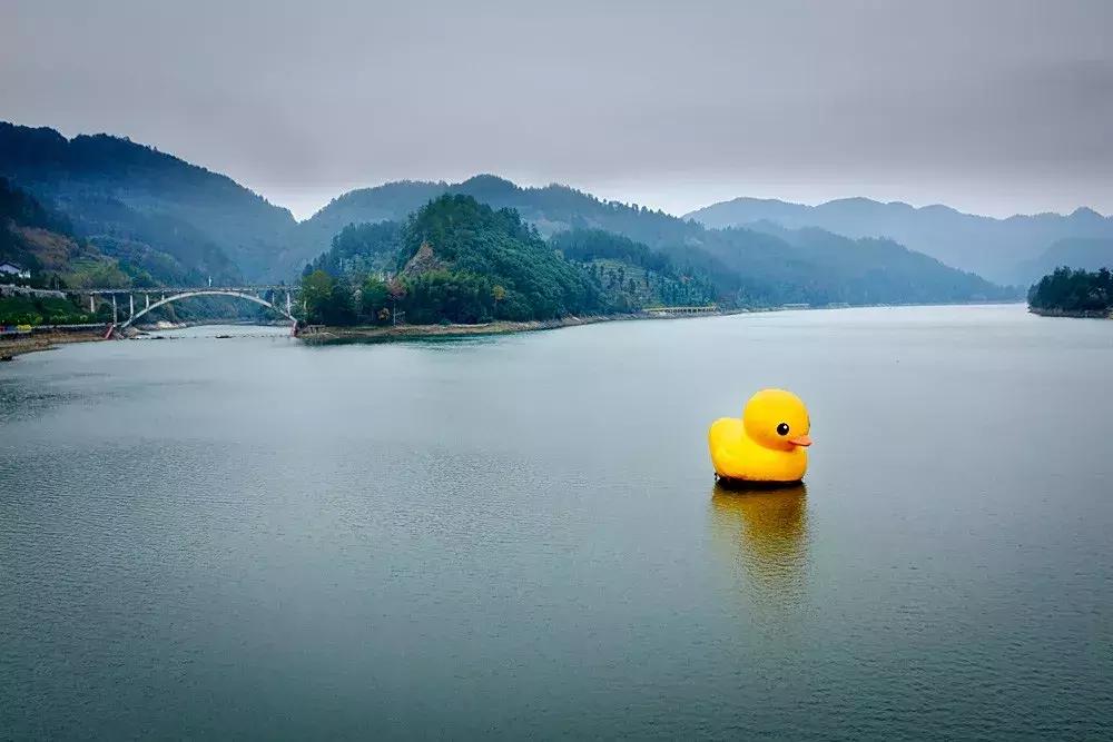 四渡赤水渡过金沙江,四渡赤水渡过大渡河