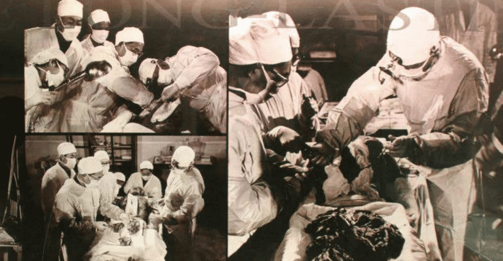 瑙ｅ瘑绁炵灏告瘨,瑙ｅ瘑灏告瘨