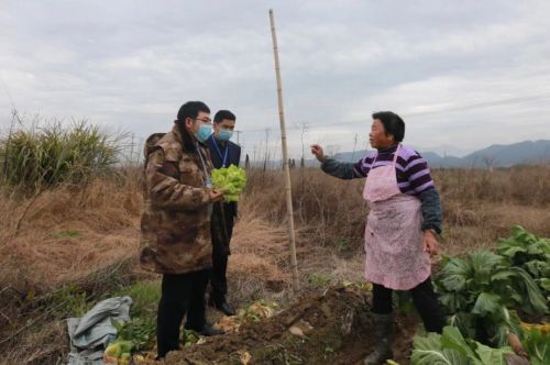 莲都区人大代表毛淑飞：一天打250多个电话帮村民卖菜