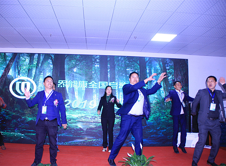 炁能康负离子调养仪的外形,炁能康调养仪v540价格