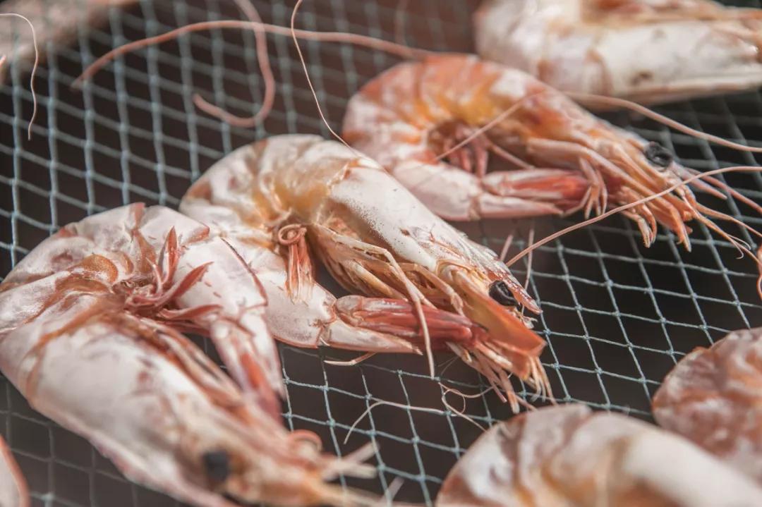 温补肾阳补肾固精吃什么,温肾固精的食品