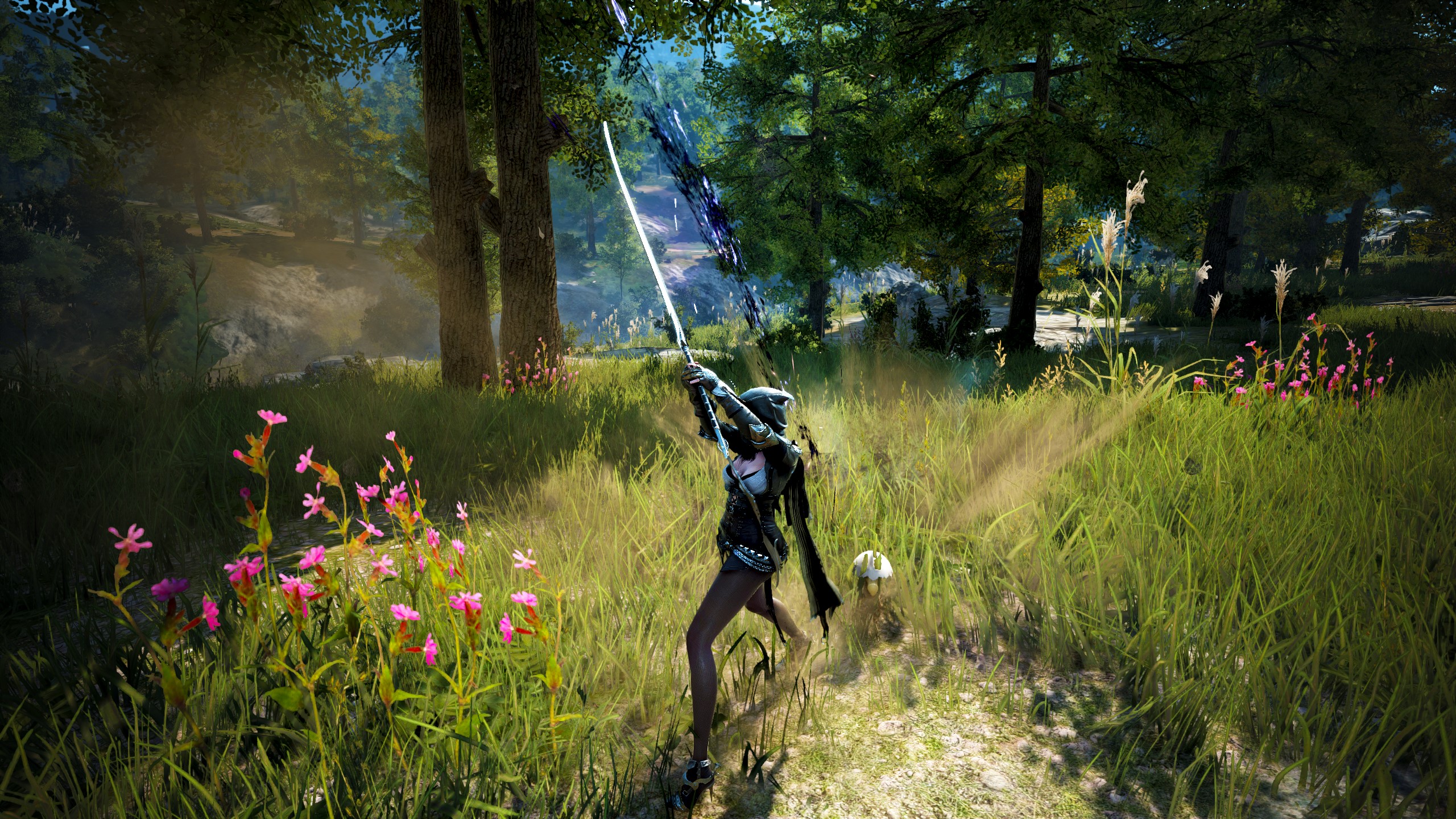 黑色沙漠台服和国服的区别,黑色沙漠端游台服能搬砖吗