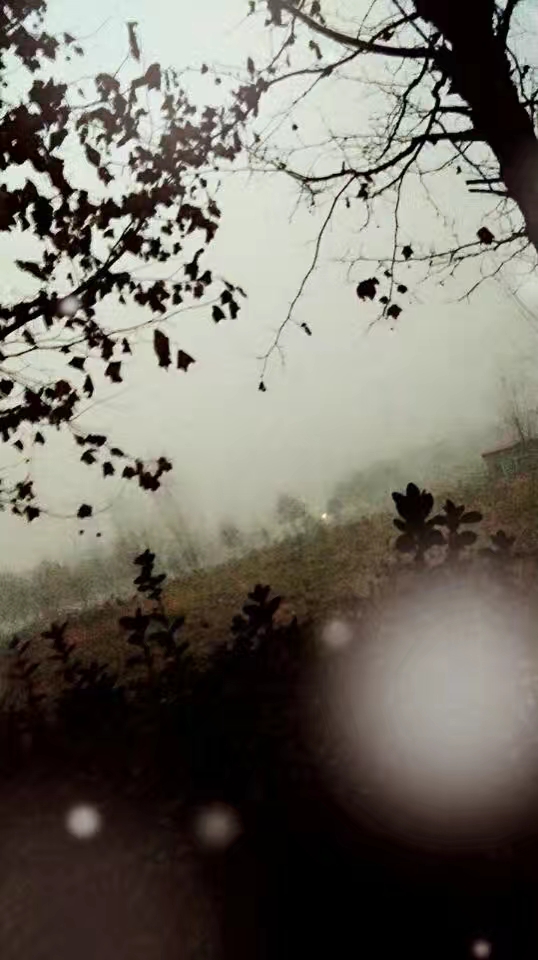 论一个男人有多自信,男人玻璃心的表现