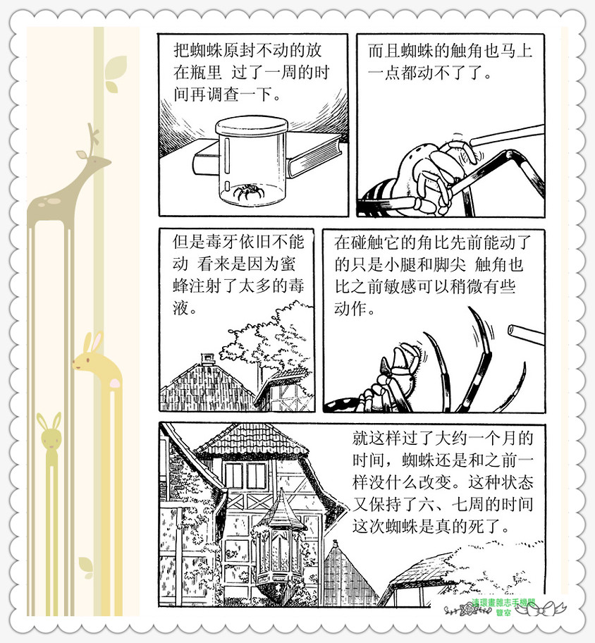 昆虫记法布尔动画片,昆虫记法布尔全套