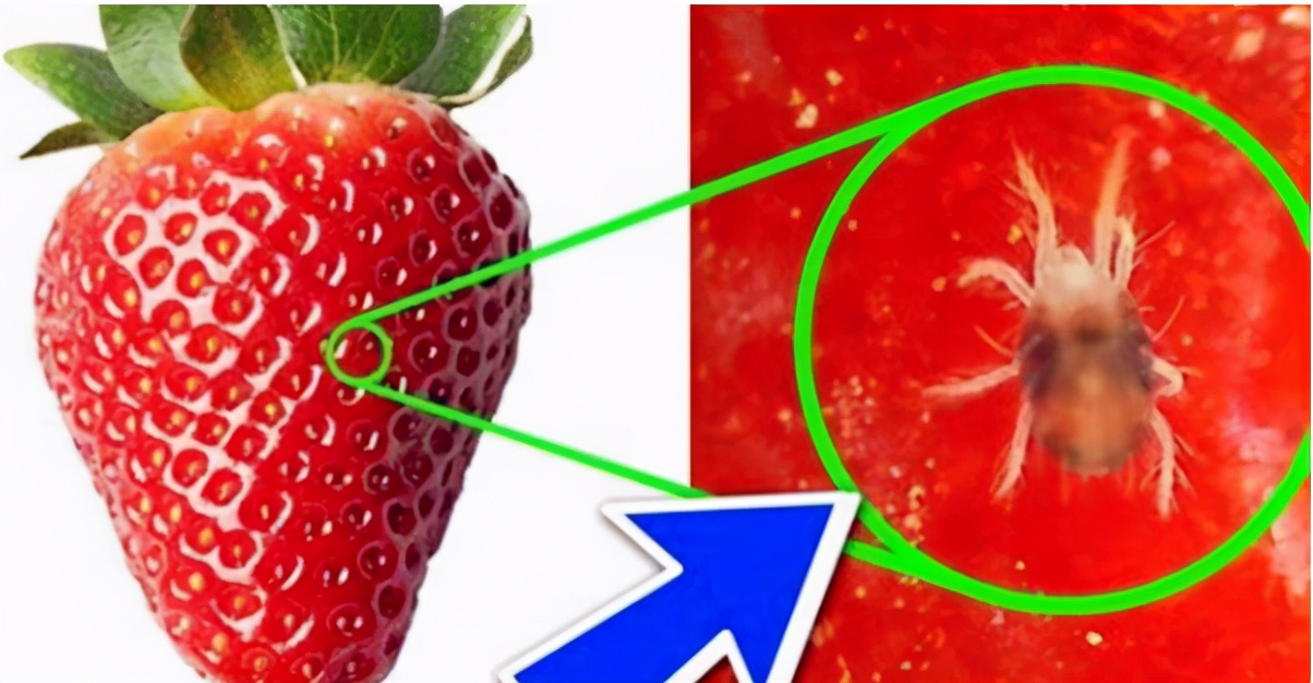 五种水果一定要清洗给孩子吃,寄生虫最多的五种水果