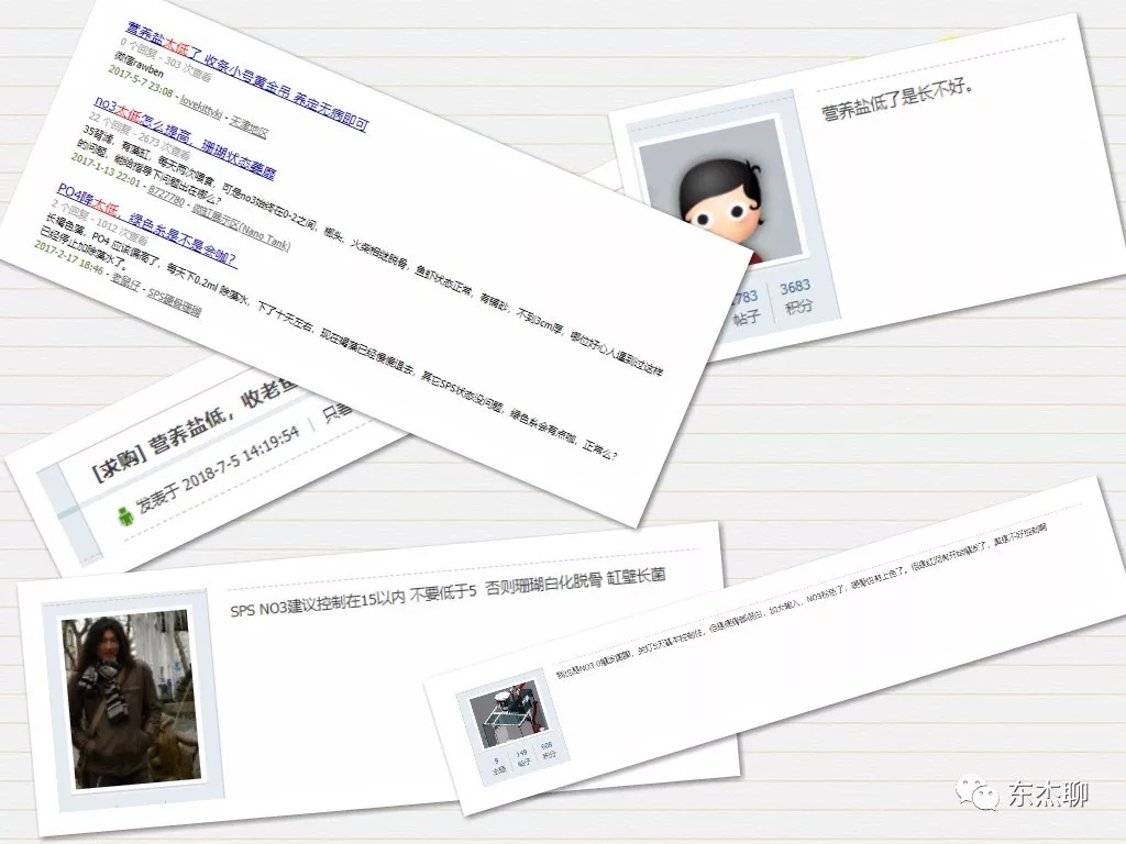 海缸nps好养吗,海缸新刚入缸老是挤在一起