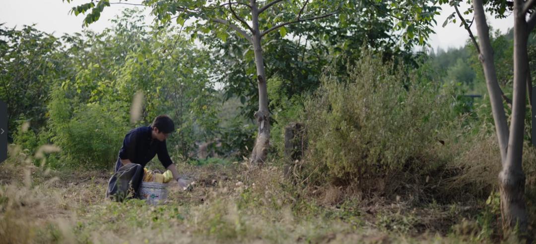 我是余欢水你不知道的事,我是余欢水免费在线观看