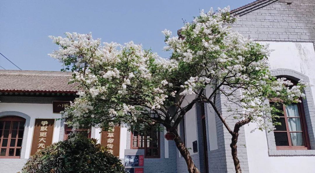 西安旅游全攻略现在的西安人多不,西安人的西安旅游攻略图片