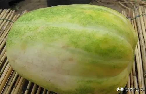 沈阳有什么特色农产品,辽宁省14个市县特产农产品