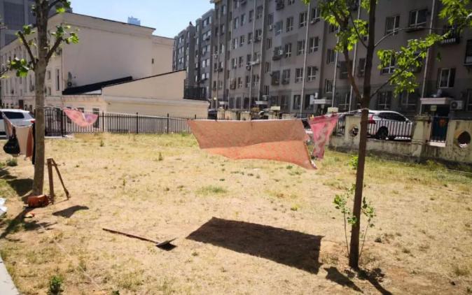 各地正在建设的专业足球场,大连市新足球场地图