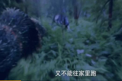 斗罗大陆第五弹能出啥,斗罗大陆是好是坏