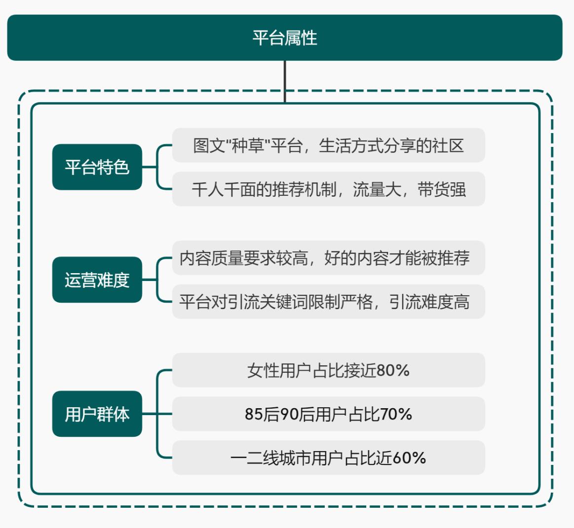 小红书日常运营基本操作,小红书新手运营全攻略